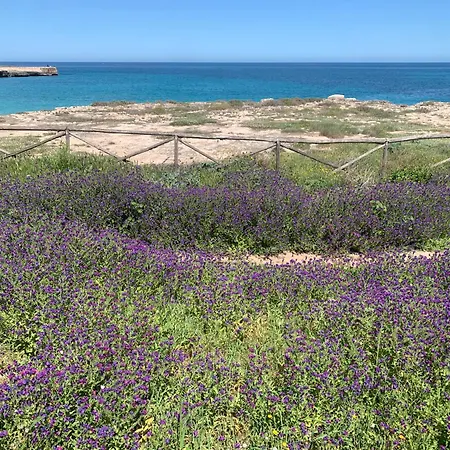 Apartman La Casa Di Gio Mar *