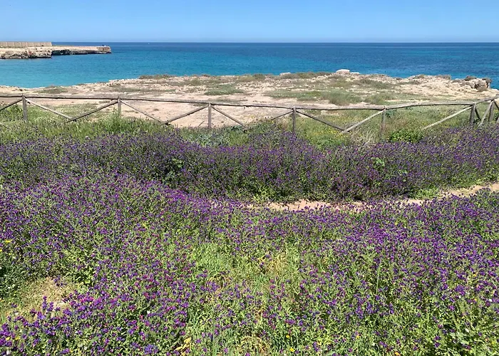 דירה La Casa Di Gio Mar *